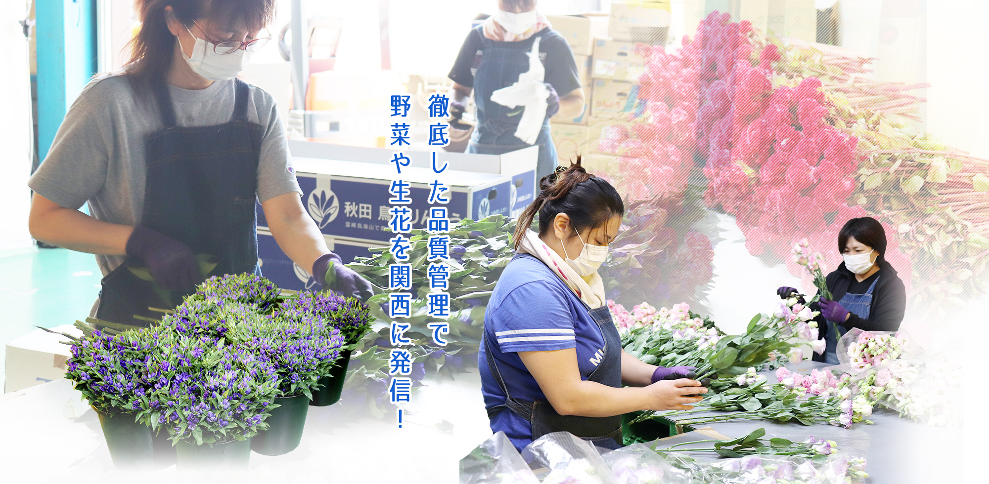 徹底した品質管理で野菜や生花を関西に発信！